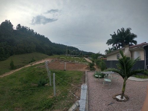 Imagem 15 de 15 de Sitio - Cocal Do Sul - Ref: 31069 - V-31066
