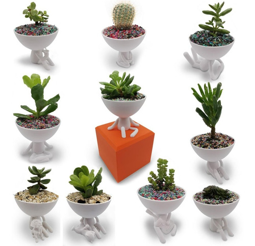 50 Macetas De Hombrecitos Cactus/suculenta Robert Plant