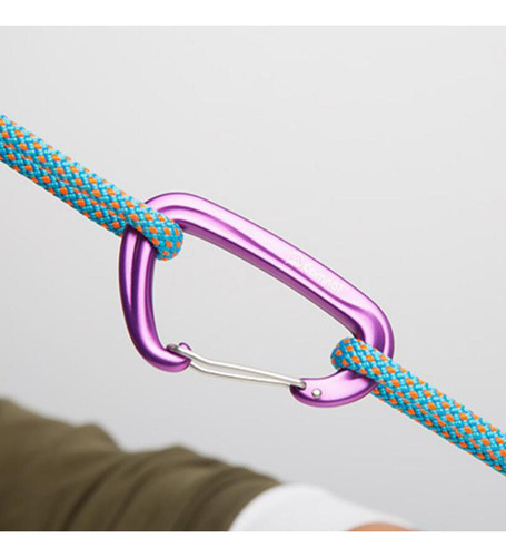 2pcs Hammock Carabiner Wire Gate Snap Carabiner Camping