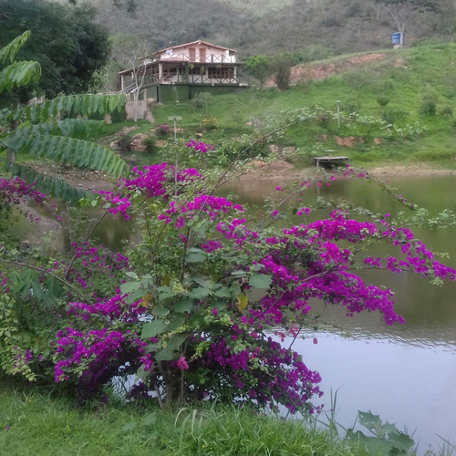 Se Vende Finca  114 Hectáreas. Bejuma.