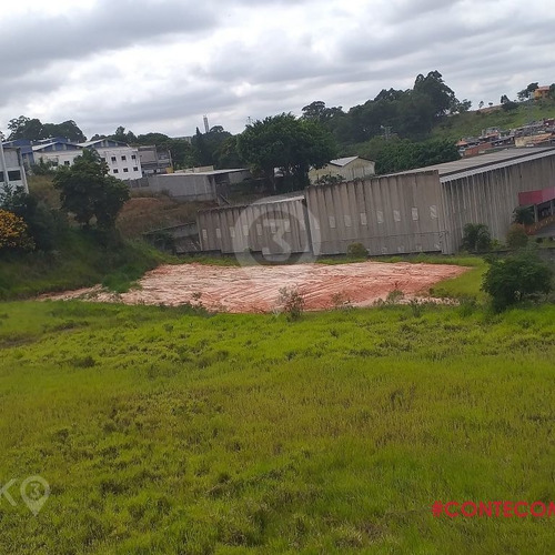 Imagem 7 de 10 de Terreno - Locação - 13.054,80m² - Jd Ottawa - Nsk3 - Cod. - Ed8013