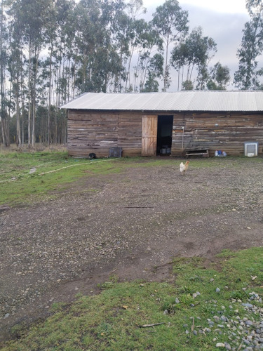 Terreno Con Casa