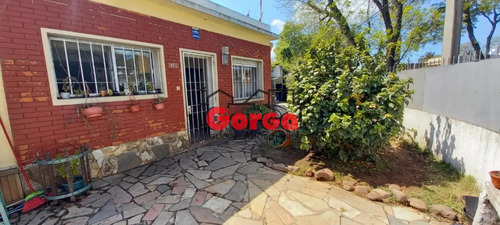 Toda En Una Planta, Con Hermoso Desahogo En El Jardín.