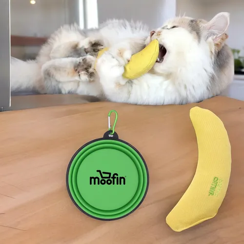 Cosmic banana cat toy hot sale
