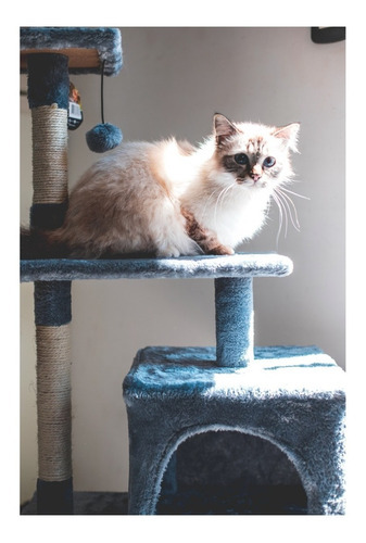 Imagen 3 de 5 de Juguete Cañita Para Gatos Esqueleto Blanco Linea Fun Cancat