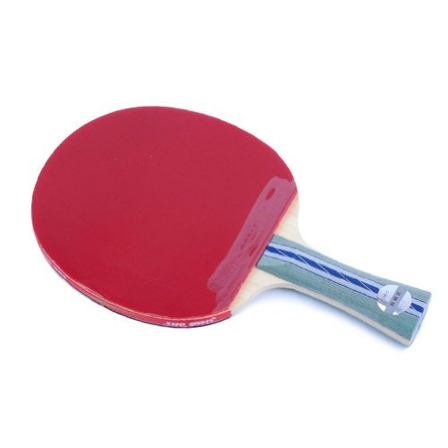 Dhs Ping Pong Paleta A5002, Raqueta De Tenis De Mesa -