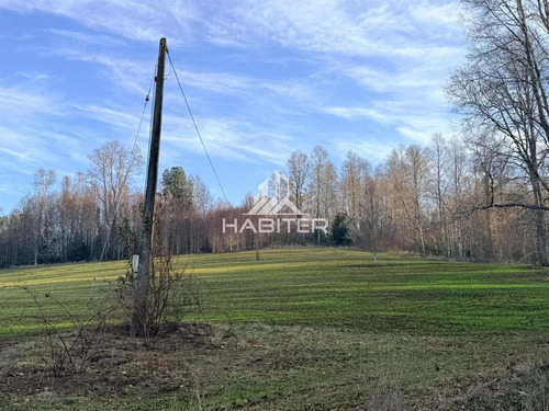 Cod40127 Agrícola En Venta En Cunco 15 Ha. Con Vertiente