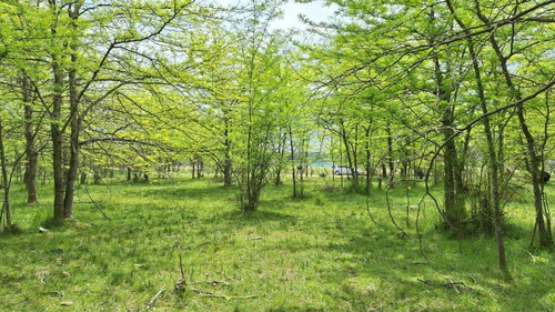 Hectarea De Campo En Marcos Paz