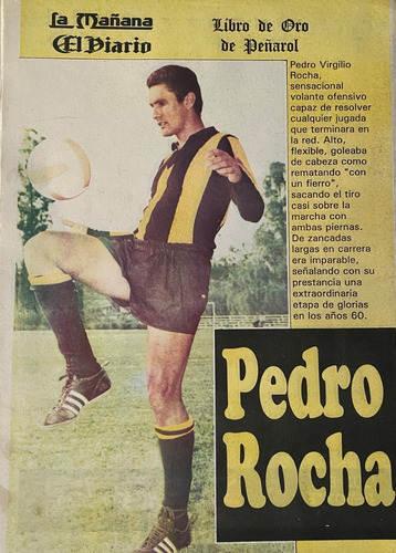 Poster Peñarol Del Libro De Oro 1991 Pedro Rocha Ez2c