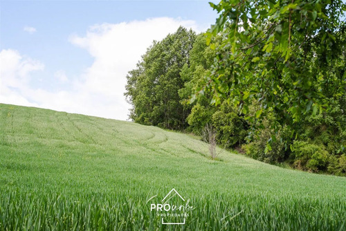 Terreno 5.000 M2 En Venta En Paillaco