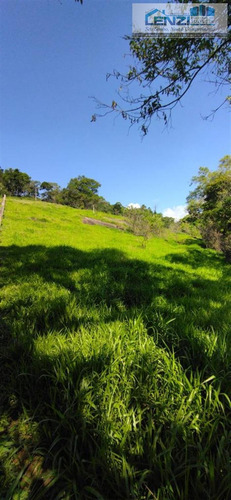 Imagem 16 de 25 de Sítios À Venda Em Toledo/mg - Compre O Seu Sítios Aqui! - 1491448