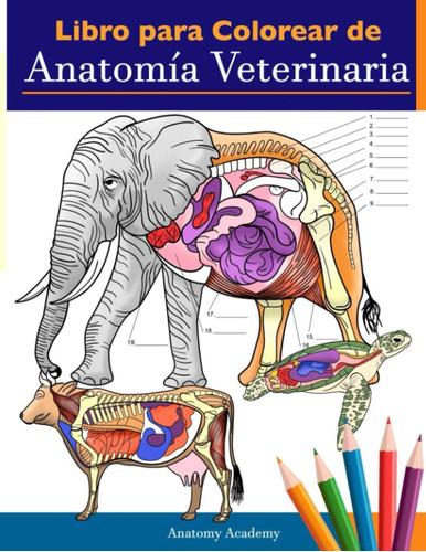 Libro: Libro Para Colorear De Anatomía Veterinaria: Libro De
