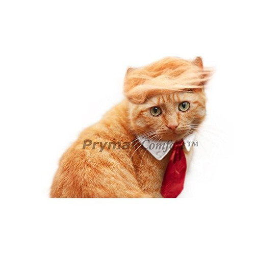 Traje Del Gato Trump Prymal Para Halloween, Fiesta Y Partes