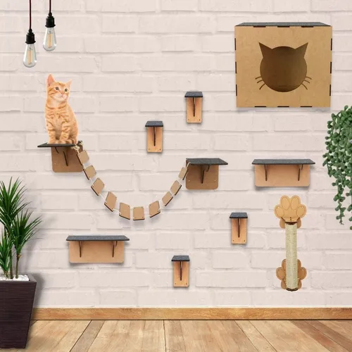 Gato em um playground, ideal para ambientes internos