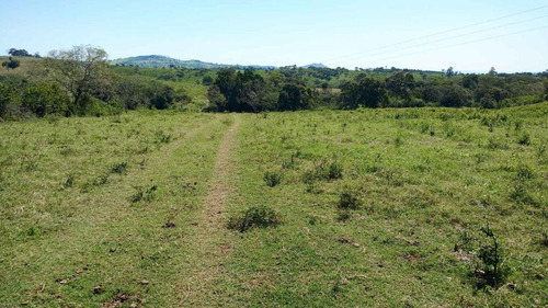 Vendo Rancho Ganadero 223 Hectáreas Temapache Veracruz