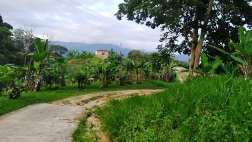 Terreno En Venta Ubicado En Canoabo Bejuma Carabobo 24-15798, Eloisa Mejia