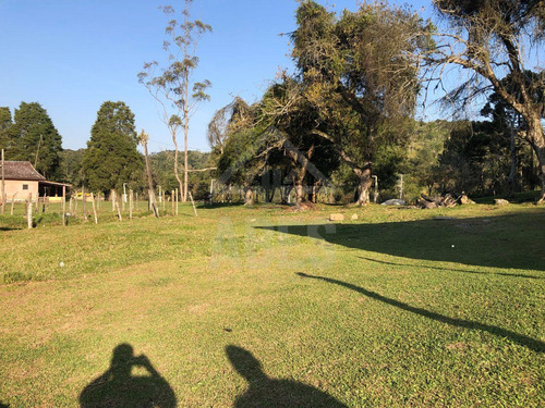 Imagem 10 de 30 de Sitio - St00010 - 69953800