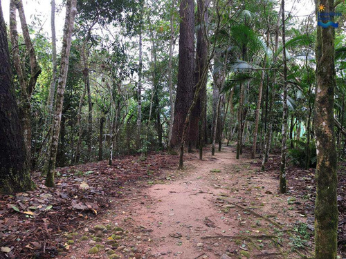 Imagem 15 de 15 de Terreno De Condomínio, Horto Florestal, Ubatuba - R$ 280 Mil, Cod: Te347 - Vte347