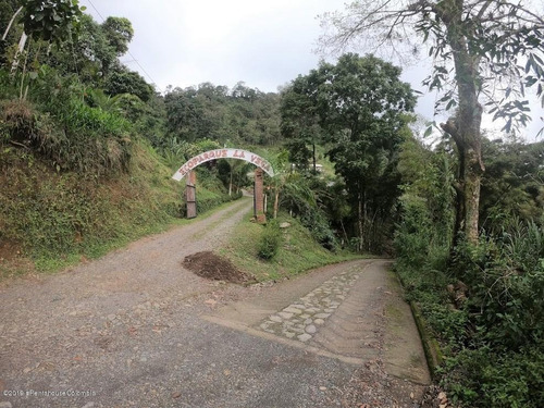 Lote En Vereda Hoya Grande Rah Co: 21-763