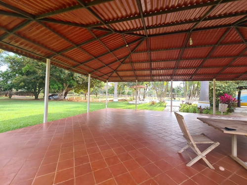 Imagen 7 de 13 de En Venta Finca, En Sabana Del Medio, Barrera