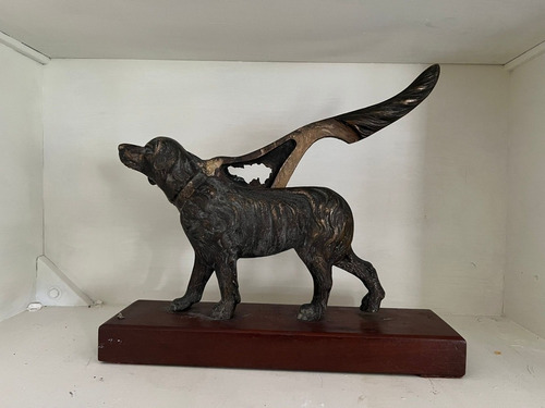 Gran Perro Antiguo Abridor De Nueces Y Abanos En Bronce