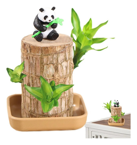 Para Madera De La Suerte Brasileña Con Panda | Set De