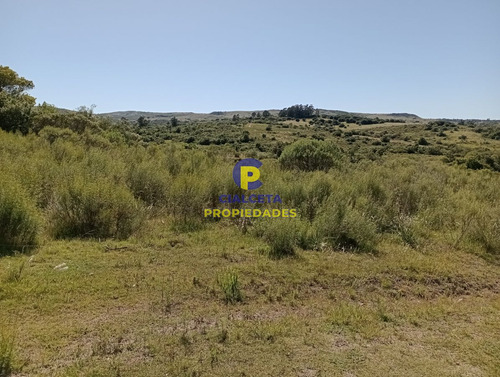 Imagen 2 de 12 de 10 Hectáreas En Las Cañas