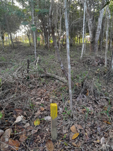 Lote A Venda Em Itacaré Com 2000mts2 Bairro Aderno