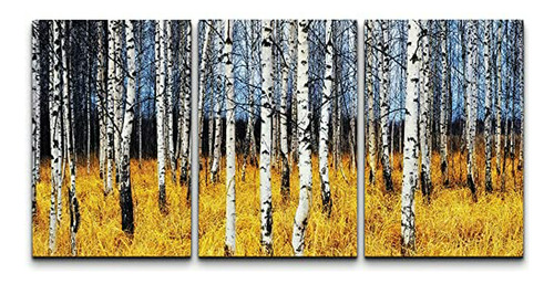 Cuadro Tríptico Árboles De Otoño - 24 X36 