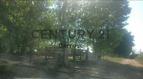 Imagen 6 de 10 de Finca De 48 Hectáreas En Lavalle, Mendoza