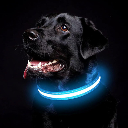 Collar,correa P,perro Con Luz Led Seguridad Paseo Nocturno Color Azul Tamaño del collar M