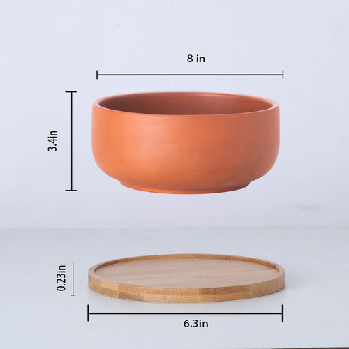 Maceta Suculenta Poco Profunda De Terracota, Maceta De 8 Pul