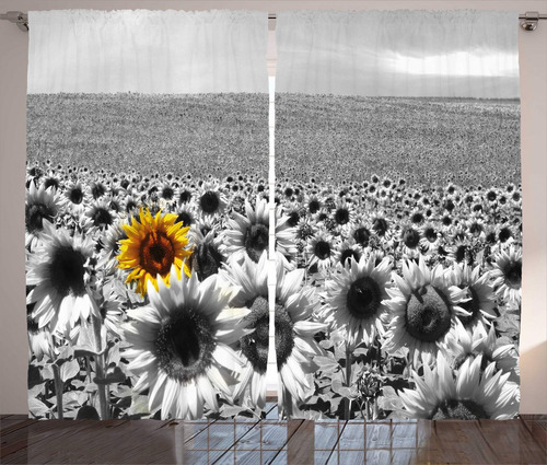 Ambesonne Cortina Moderna Campo Girasol Blanco Negro Una 2 X