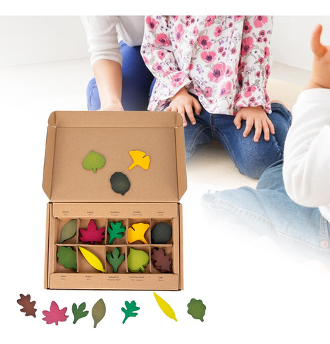 Rompecabezas De Madera Leaf Geografía Educativa Para Niños