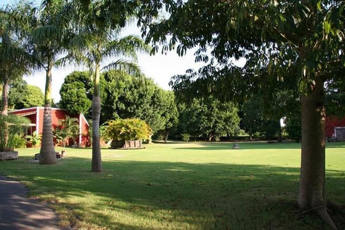 Imagen 13 de 30 de Hacienda En Venta En Yucatán Espectacular Con Lienzo - 80 Hectáreas
