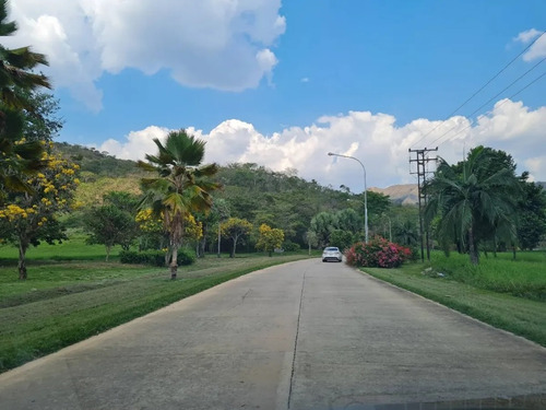Imagen 2 de 14 de En Venta Terreno En Hato Royal
