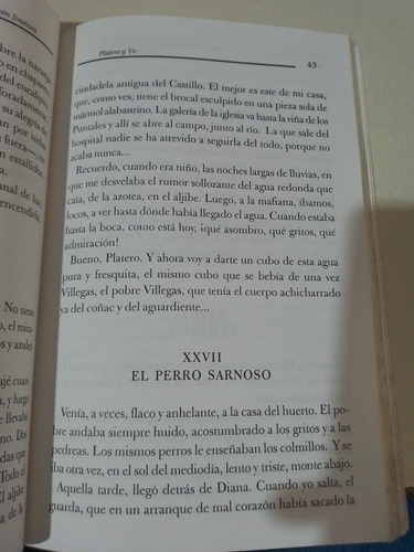 Platero Y Yo - Juan Ramón Jiménez (Usado)