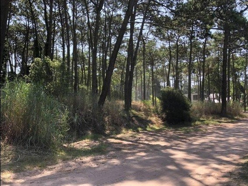 Imagen 3 de 8 de Exclusivo Lote Sobre Av Divisadero Carilo