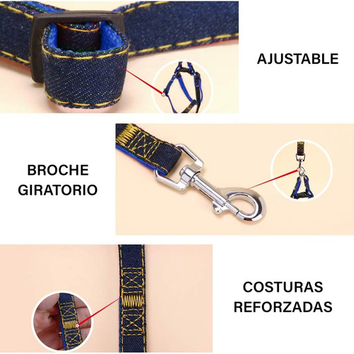 Collar Y Correa Perro Mezclilla Resistente Varias Tallas
