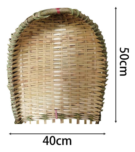 Bambúa De Bambú El Polvo De Basura De La Basura Sin Mango