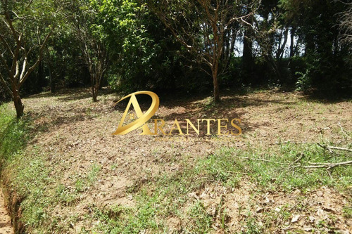 Imagem 25 de 25 de Chacara - Ch00039 - 34749998