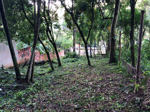 Imagem 5 de 8 de Terreno, Itaim Mirim, Santana De Parnaíba - R$ 100 Mil, Cod: 235506 - V235506
