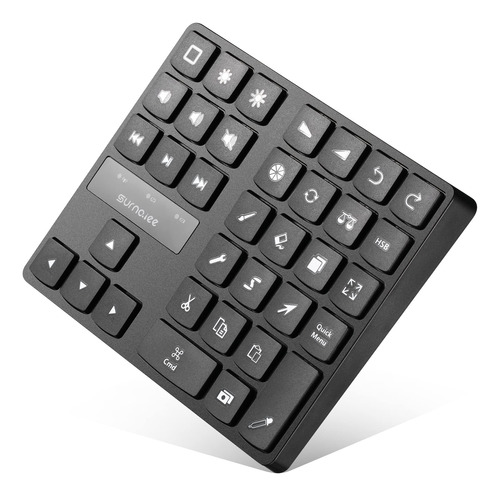 Surnqiee Teclado Bluetooth Para iPad Procreate, Teclado Reca