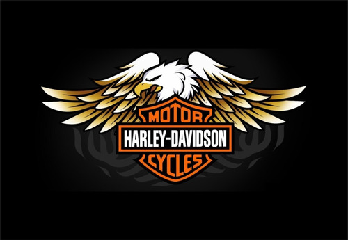  Bandeira Harley Davidson Fundo Preto - Modelo 3 - 1,45x1 M