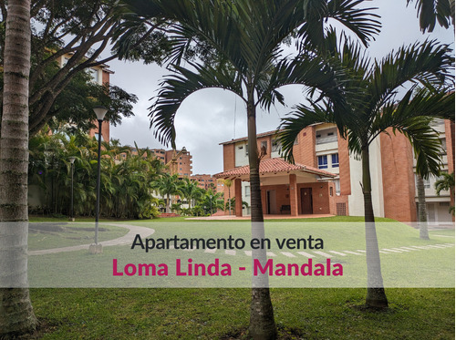 Apartamento En Venta Con Terraza Y Family Room En Loma Linda