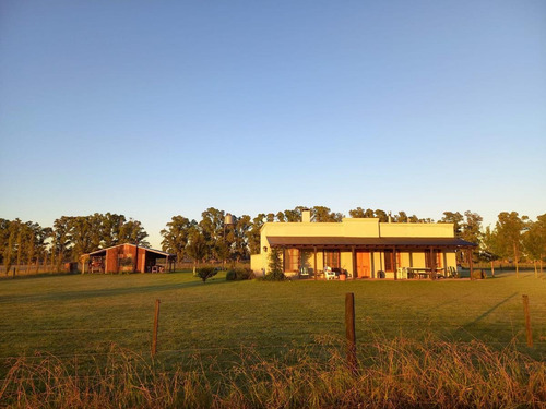 Imagen 2 de 21 de Chacra En Venta- Lobos