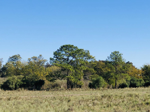 Lote Financiado En Del Viso, Pilar - Barrio Privado El Paso