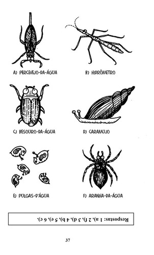 Imagem 2 de 5 de Bichos Nojentos - Saber Horrível