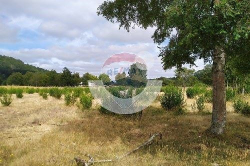Terreno De Ensueño En Los Lagos: ¡invierte Hoy!