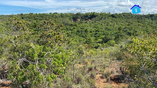 Imagem 11 de 12 de Terreno 3.000m² Em Tabatinga (excelente Para Condomínios E Hotéis) - Te0784